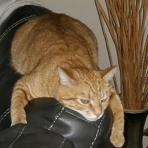 Meet your Posher, Kathleen